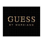 logo guess 3